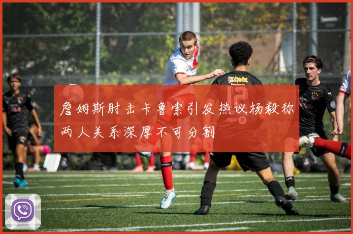 詹姆斯肘击卡鲁索引发热议杨毅称两人关系深厚不可分割